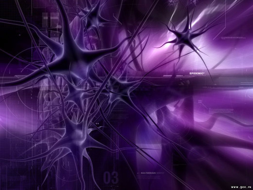 1185 (a): :1024x768